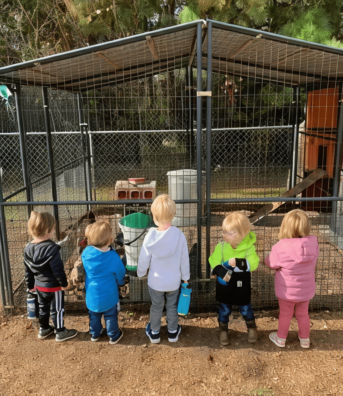 Five toddlers playing near a fenced outdoor enclosure on a sunny day.