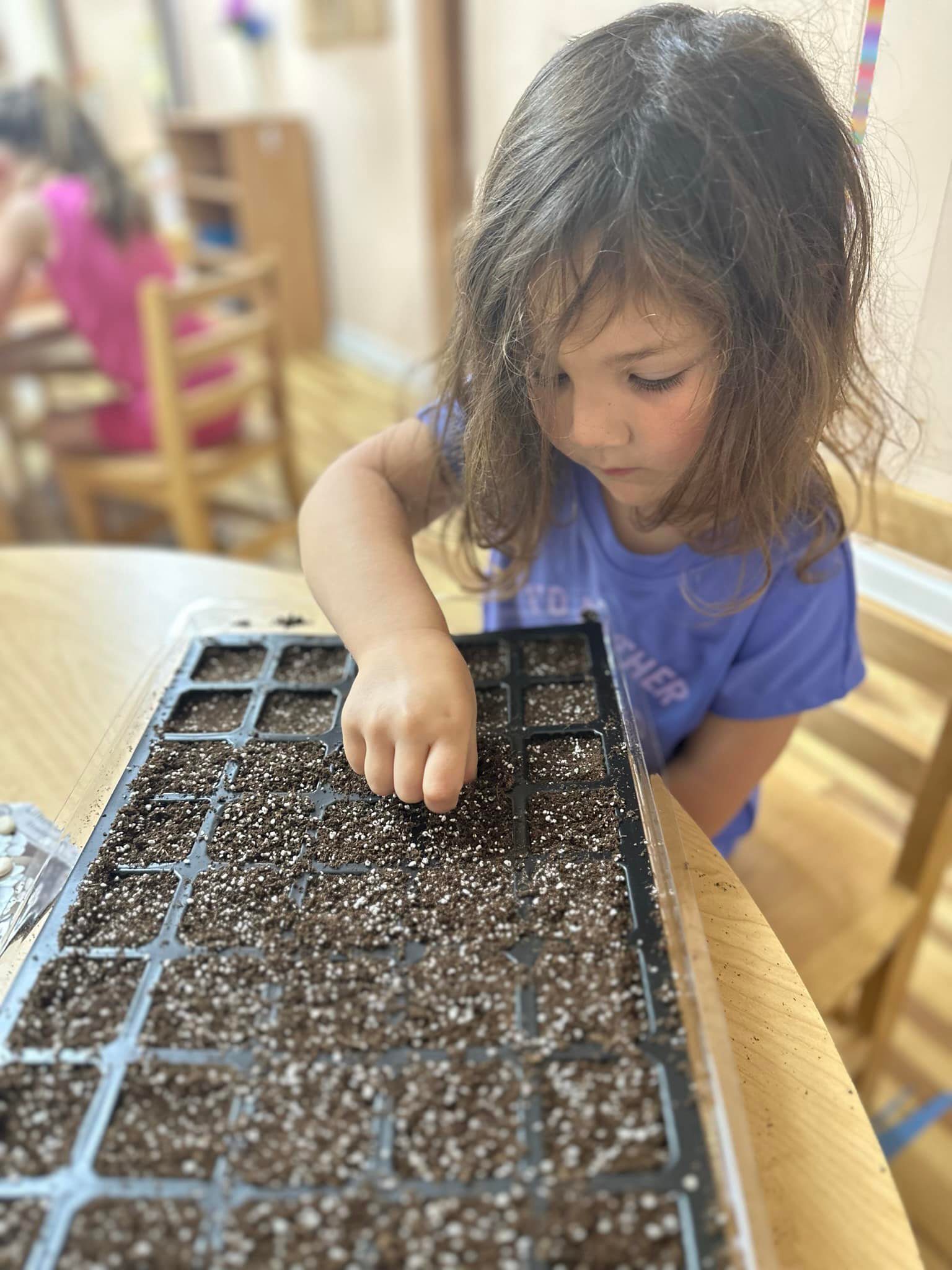 A young girl planting seeds in a tray filled with soil indoors.